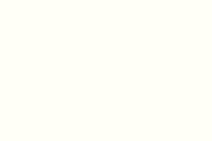 9504 White Lie
