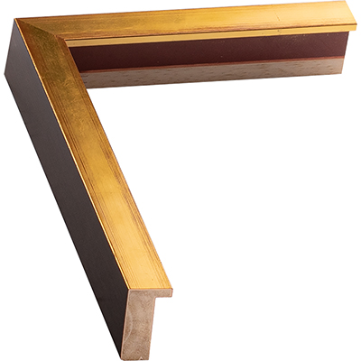 Gold Gallery Frame
