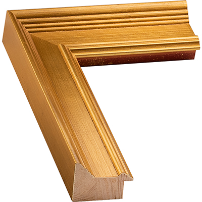 Gold Frame