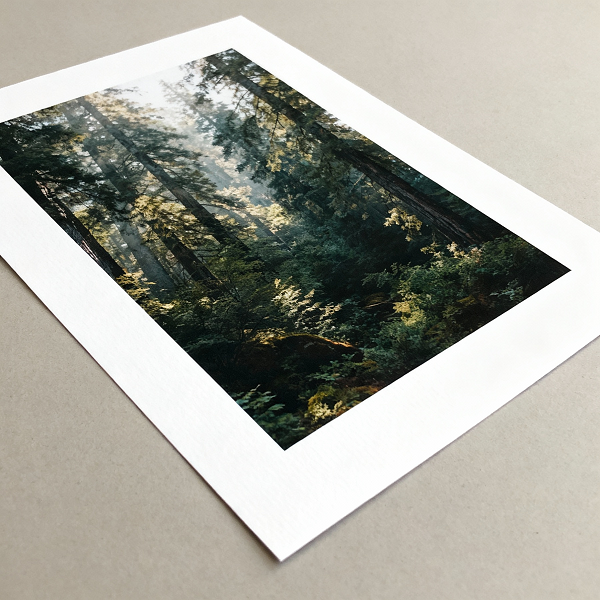 Print with a white border around the image area, showing what part will be hidden by a mat